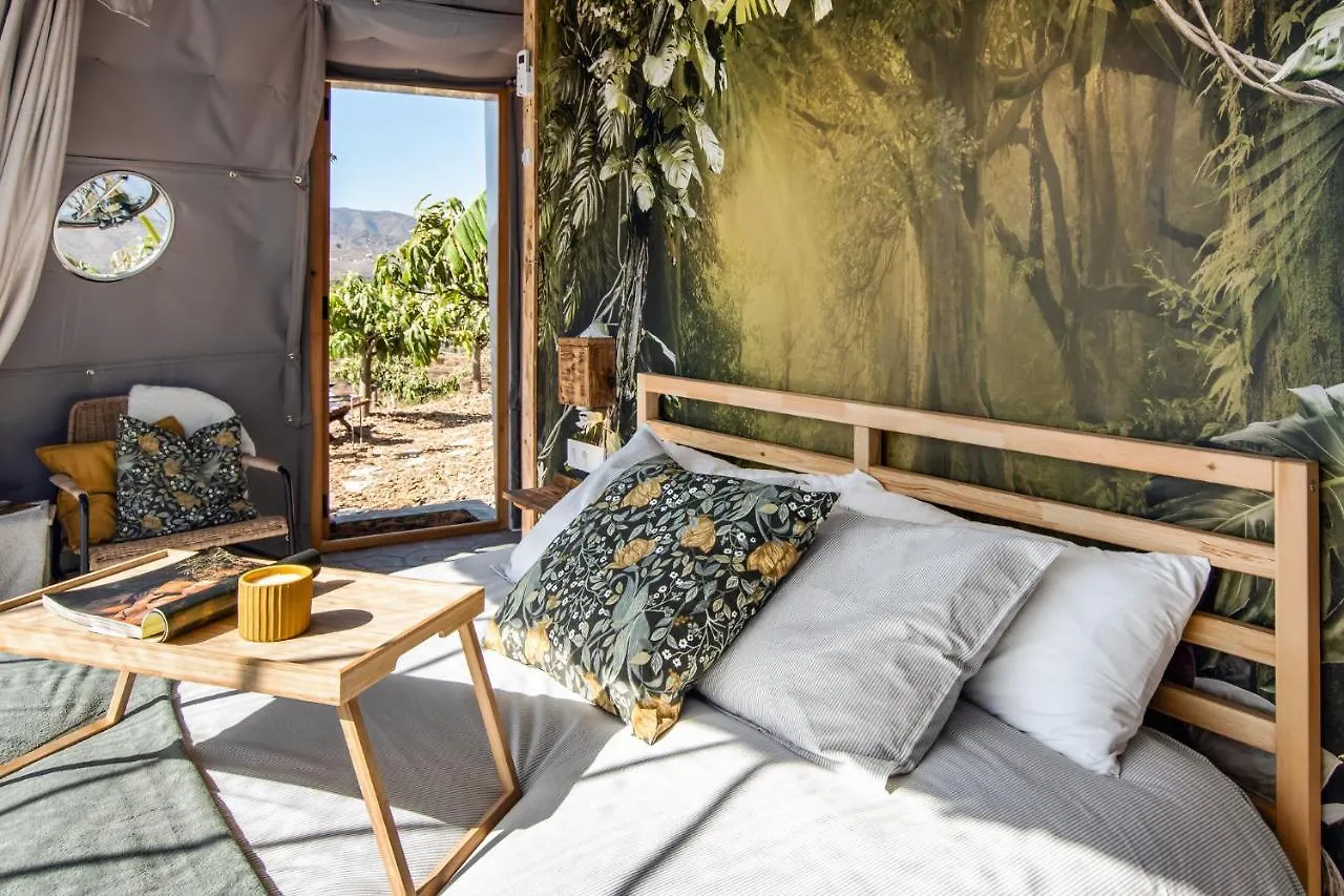 Dome House On Ecological Mango Farm Hotel Velez Malaga