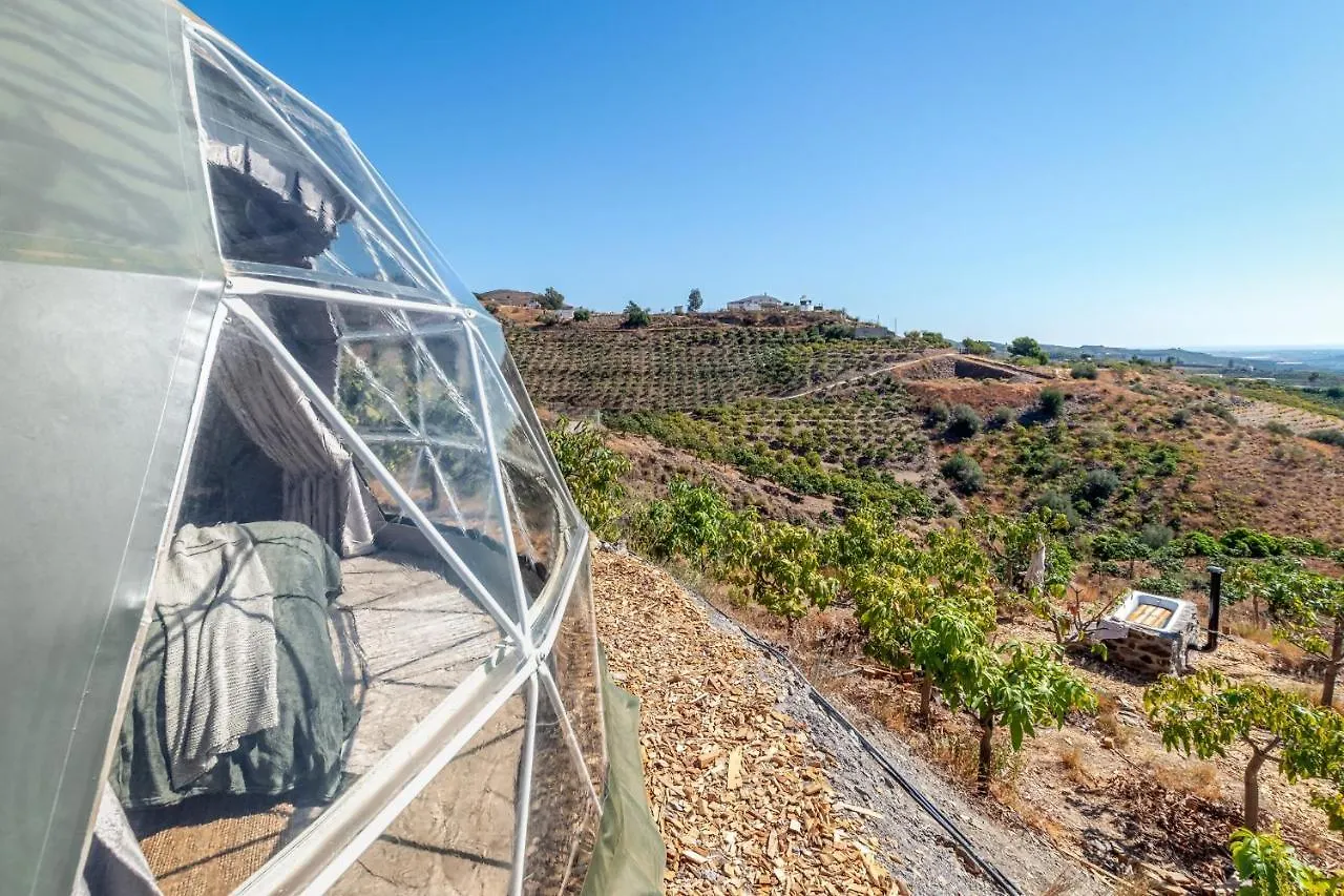 Luxury tent Dome House On Ecological Mango Farm Hotel Velez Malaga
