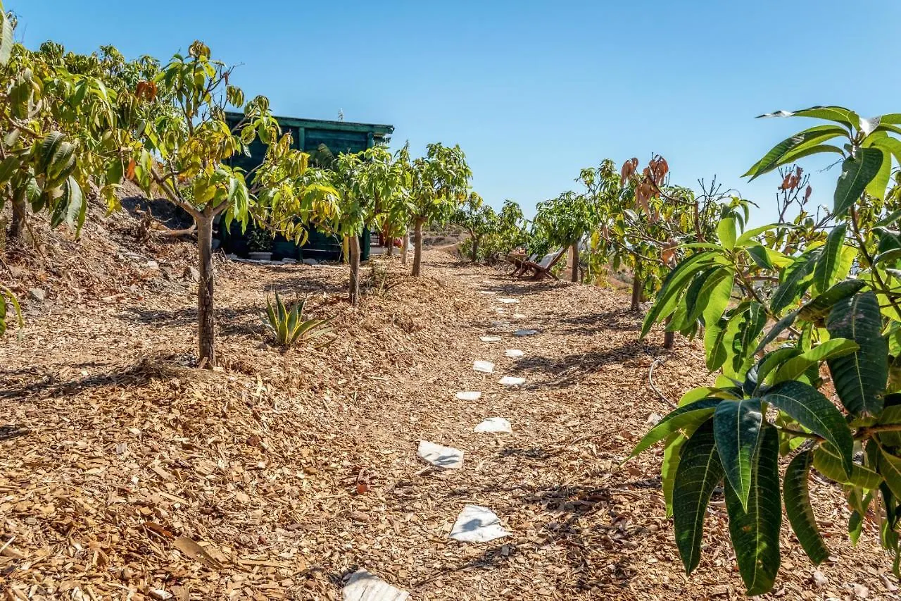 Dome House On Ecological Mango Farm Hotel Velez Malaga Luxury tent